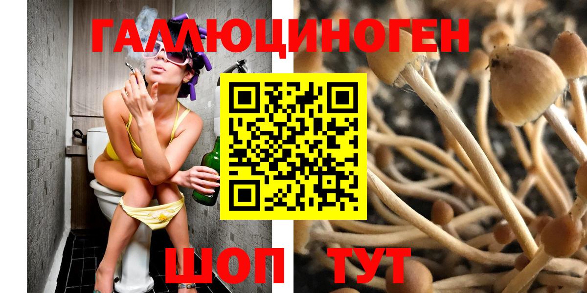 Галлюциногенные грибы GOLDEN TEACHER Конаково